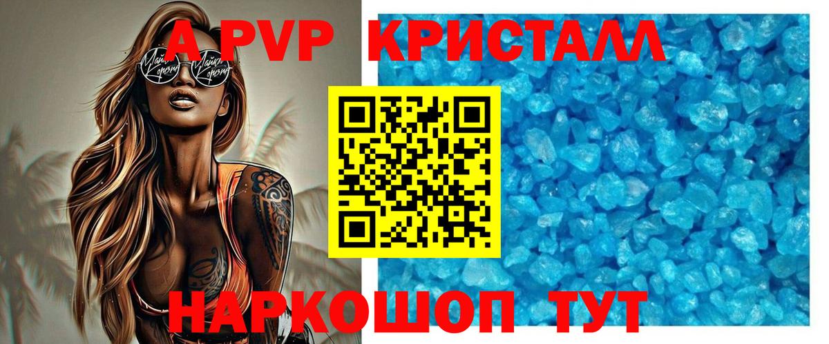 A PVP СК КРИС Алейск
