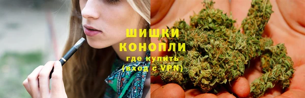 молекула духа Пестово