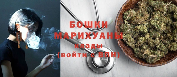 2c-b Осинники