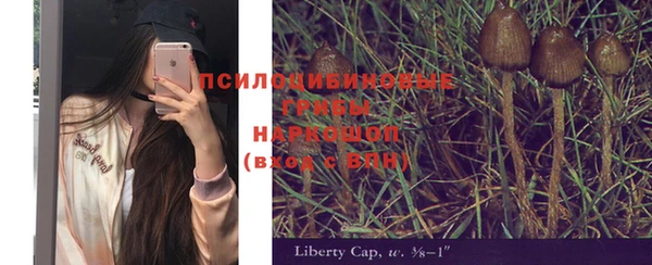 2c-b Осинники
