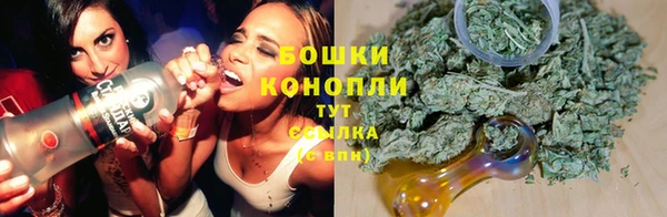 соль ск Осташков