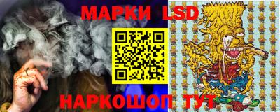 MDMA Гатчина