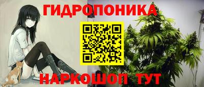 дурь Абакан