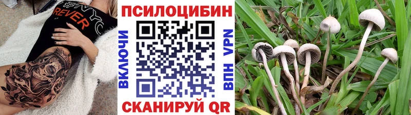 Галлюциногенные грибы GOLDEN TEACHER  Алейск 