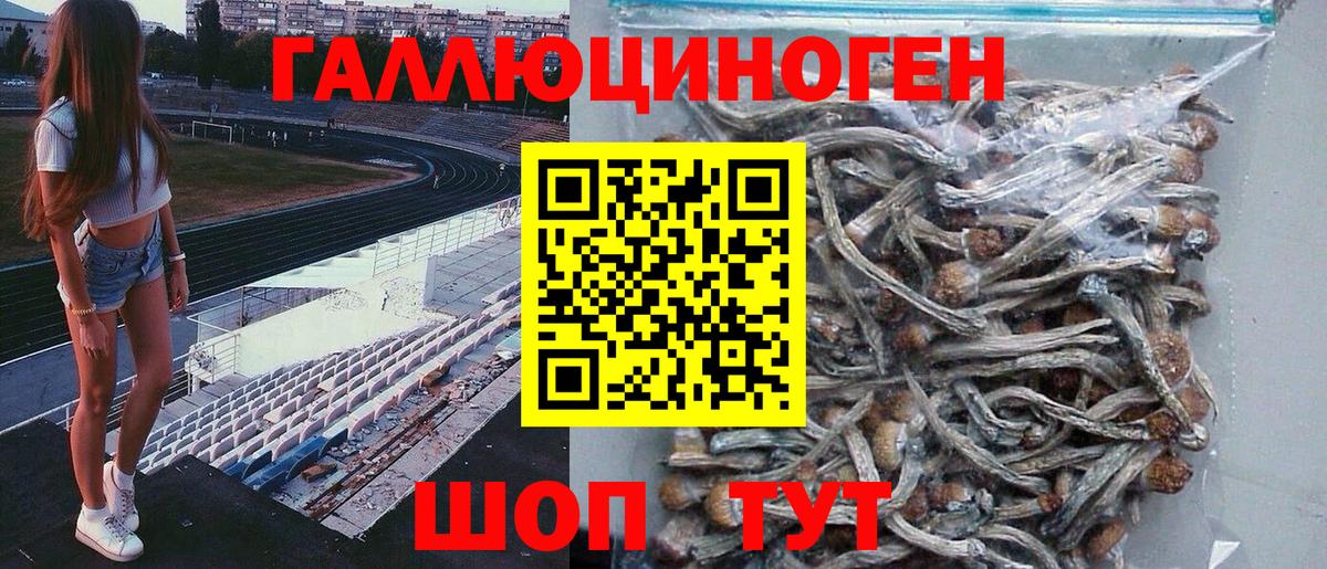 Галлюциногенные грибы мицелий Алейск