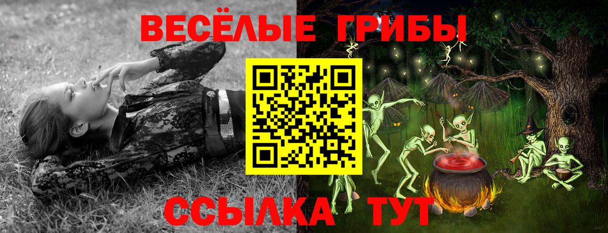 Алейск  CBD масло  Конопля  Мяу-Мяу  Alpha-PVP  Канабис  Мяу-Мяу  Вход с VPN  Кокаин 
