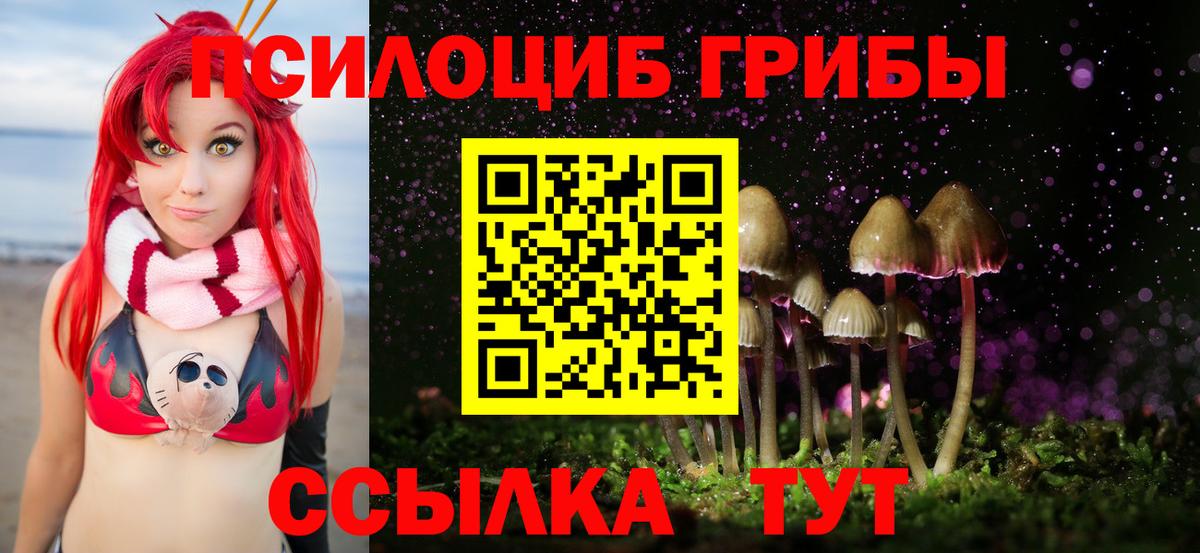 Алейск  даркнет сайт  Псилоцибиновые грибы прущие грибы  Вход с VPN  Псилоцибиновые грибы ЛСД 